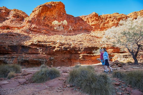 Coach Transfer From Ayers Rock To Kings Canyon - Holiday Sunshine Coast 7