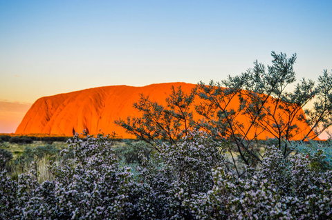 Uluru Sunrise And Kata Tjuta Half Day Trip - Holiday Sunshine Coast 2