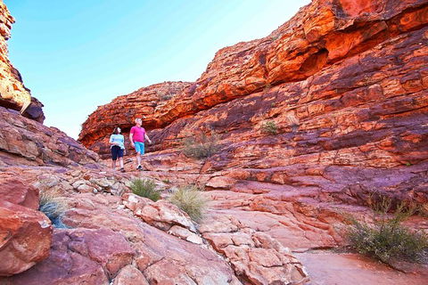 3-Day Tour From Uluru (Ayers Rock) To Alice Springs Via Kings Canyon - Sunshine Coast Tourism 27