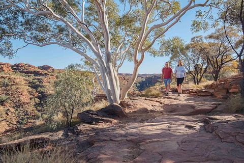3-Day Tour From Uluru (Ayers Rock) To Alice Springs Via Kings Canyon - Sunshine Coast Tourism 26