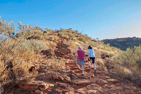 3-Day Tour From Uluru (Ayers Rock) To Alice Springs Via Kings Canyon - Sunshine Coast Tourism 19