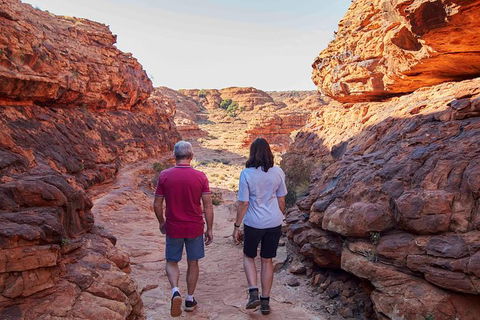 3-Day Tour From Uluru (Ayers Rock) To Alice Springs Via Kings Canyon - Sunshine Coast Tourism 17