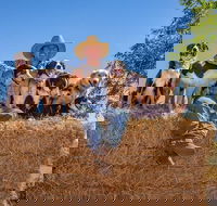 Skip-the-Line Katherine Outback Experience Show Ticket