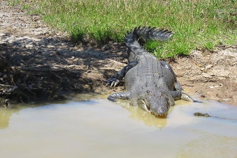 Darwin To Kakadu Day Trip By Air Including Yellow Water Cruise - Sunshine Coast Tourism 5