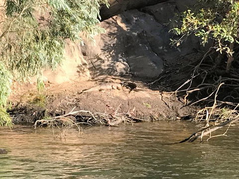 Nitmiluk (Katherine) Gorge 3.5-Hour Sunset Dinner Boat Tour - Sunshine Coast Tourism 4
