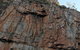 Nitmiluk (Katherine) Gorge 3.5-Hour Sunset Dinner Boat Tour - thumb 6