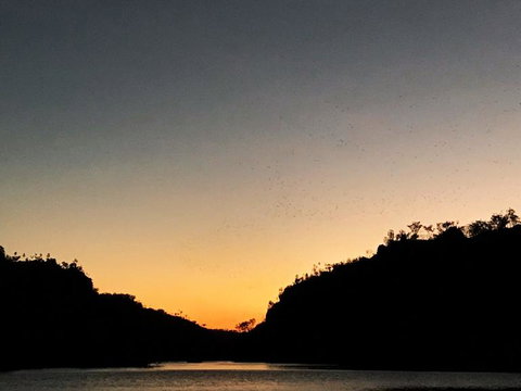 Nitmiluk (Katherine) Gorge 3.5-Hour Sunset Dinner Boat Tour - Sunshine Coast Tourism 9