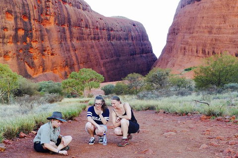 Afternoon Kata Tjuta Small Group Tour - Holiday Sunshine Coast 7
