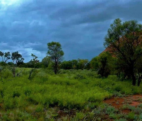 3-Day Ayers Rock To Alice Springs Camping Tour Including Kings Canyon, Kata Tjuta And Uluru - Holiday Sunshine Coast 11