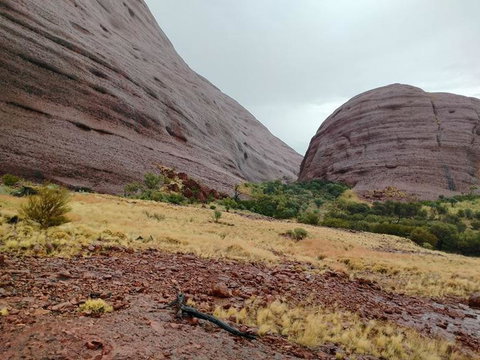 3-Day Ayers Rock To Alice Springs Camping Tour Including Kings Canyon, Kata Tjuta And Uluru - Holiday Sunshine Coast 4