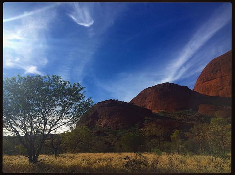 3-Day Ayers Rock To Alice Springs Camping Tour Including Kings Canyon, Kata Tjuta And Uluru - Holiday Sunshine Coast 14