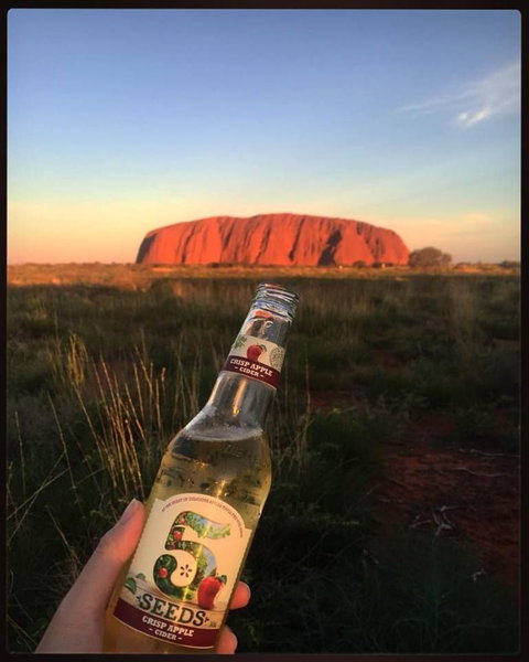 3-Day Ayers Rock To Alice Springs Camping Tour Including Kings Canyon, Kata Tjuta And Uluru - Holiday Sunshine Coast 15