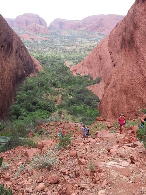 3-Day Ayers Rock To Alice Springs Camping Tour Including Kings Canyon, Kata Tjuta And Uluru - Holiday Sunshine Coast 7