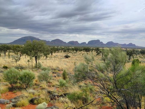 3-Day Ayers Rock To Alice Springs Camping Tour Including Kings Canyon, Kata Tjuta And Uluru - Holiday Sunshine Coast 5