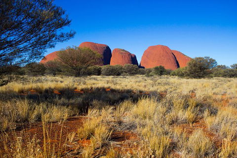 Ayers Rock 4 Tour Combo: Complete Uluru Base Walk At Sunrise, Valley Of The Winds At Sunrise, Kata Tjuta Sunset And Uluru Sunset - Sunshine Coast Tourism 12