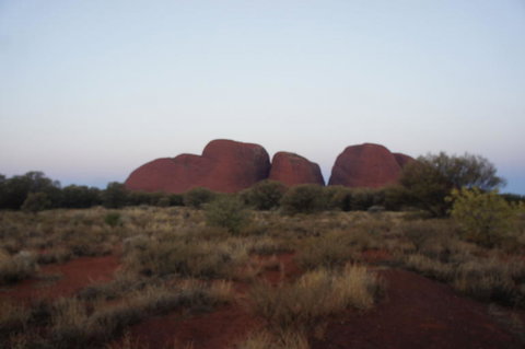 Kata Tjuta Sunset Half Day Trip - Holiday Sunshine Coast 4