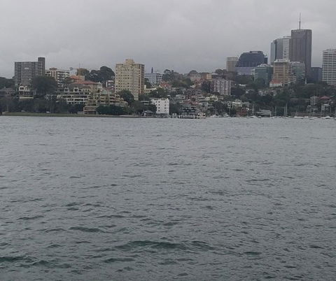 Big Bus Sydney And Bondi Hop-on Hop-off Tour - Holiday Sunshine Coast 6