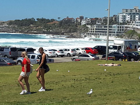 Big Bus Sydney And Bondi Hop-on Hop-off Tour - Holiday Sunshine Coast 12