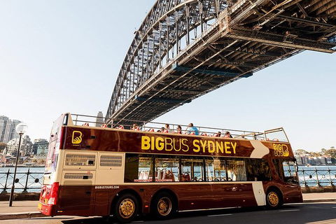 Big Bus Sydney And Bondi Hop-on Hop-off Tour - Holiday Sunshine Coast 26