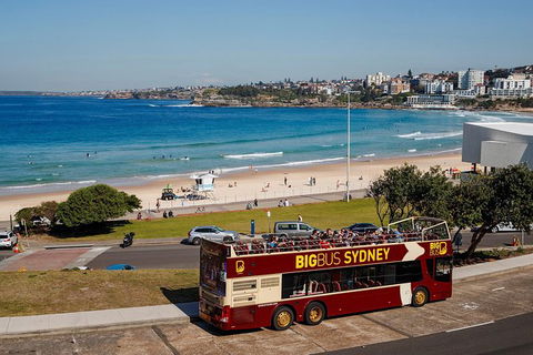 Big Bus Sydney And Bondi Hop-on Hop-off Tour - Holiday Sunshine Coast 33