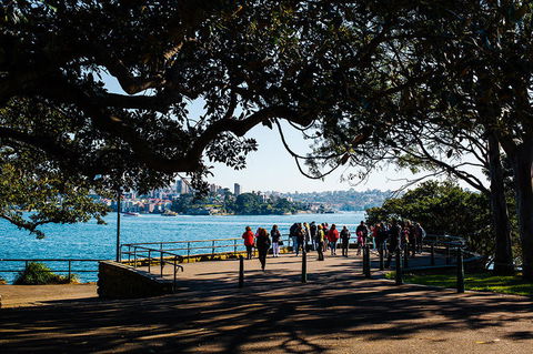 2-Day Combo: Sydney City Tour, Sydney Harbour Lunch Cruise And Blue Mountains Day Trip - Holiday Sunshine Coast 2