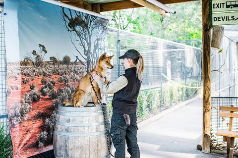 2-Day Combo: Sydney City Tour, Sydney Harbour Lunch Cruise And Blue Mountains Day Trip - Holiday Sunshine Coast 18