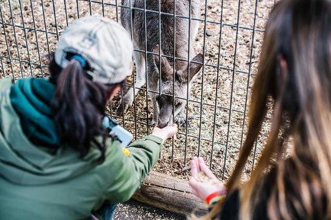 2-Day Combo: Sydney City Tour, Sydney Harbour Lunch Cruise And Blue Mountains Day Trip - Holiday Sunshine Coast 21