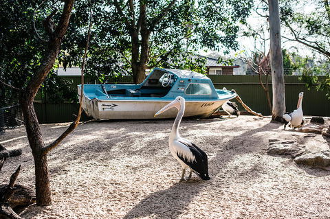 2-Day Combo: Sydney City Tour, Sydney Harbour Lunch Cruise And Blue Mountains Day Trip - Holiday Sunshine Coast 19