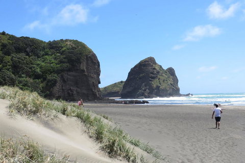 Sydney Harbour Dinner Cruise - Holiday Sunshine Coast 9