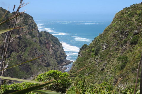 Sydney Harbour Dinner Cruise - Holiday Sunshine Coast 10