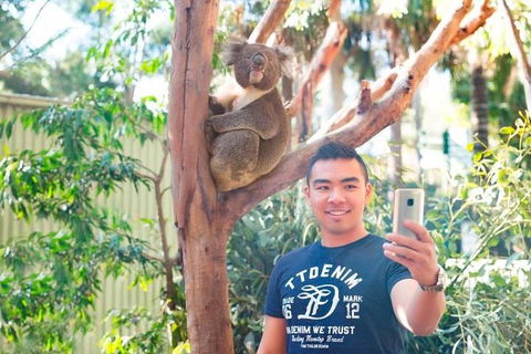 All Inclusive Full-Day Blue Mountains Trip From Sydney - Sunshine Coast Tourism 1