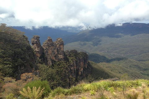 All-Inclusive Blue Mountains Tour In A Luxury Mercedes Sprinter - Sunshine Coast Tourism 11
