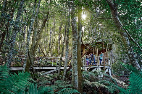 All-Inclusive Blue Mountains Tour In A Luxury Mercedes Sprinter - Sunshine Coast Tourism 19