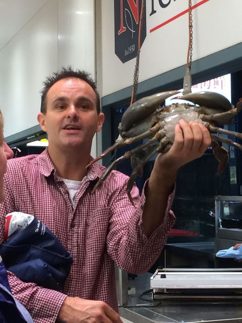 Day Trip With Chef-Led Hunter Valley Gourmet Food And Wine From Sydney - Holiday Sunshine Coast 10