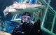 Shark Dive Xtreme At SEA LIFE Sydney Aquarium - thumb 4