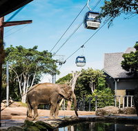 Sydney Taronga Zoo General Entry Ticket and Wild Australia Experience - Sunshine Coast Tourism
