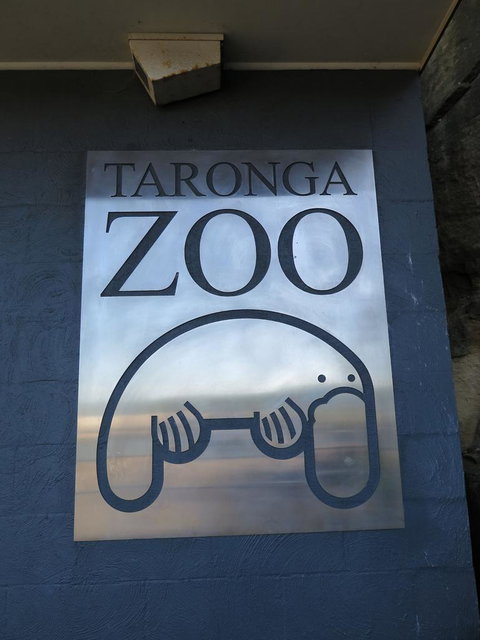 Sydney Harbour Ferry With Taronga Zoo Entry Ticket - Sunshine Coast Tourism 5