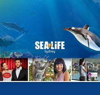 Sydney Attractions Pass SEA LIFE Aquarium Sydney Tower Eye WILD LIFE Zoo and Madame Tussauds - Sunshine Coast Tourism