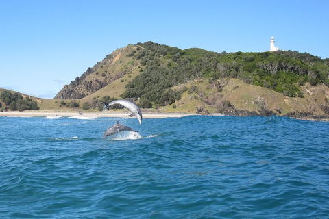 Kayaking With Dolphins In Byron Bay Guided Tour - Holiday Sunshine Coast 1