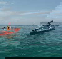 Kayaking with Dolphins in Byron Bay Guided Tour - Sunshine Coast Tourism