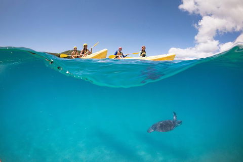 Kayaking With Dolphins In Byron Bay Guided Tour - Holiday Sunshine Coast 14