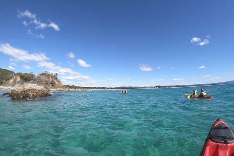 Kayaking With Dolphins In Byron Bay Guided Tour - Holiday Sunshine Coast 15