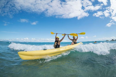 Kayaking With Dolphins In Byron Bay Guided Tour - Holiday Sunshine Coast 16
