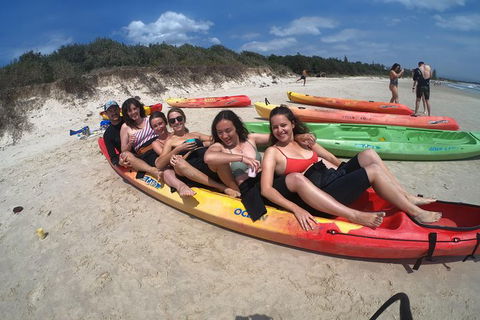 Kayaking With Dolphins In Byron Bay Guided Tour - Holiday Sunshine Coast 6