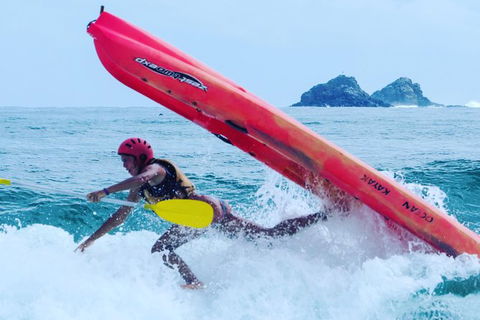 Kayaking With Dolphins In Byron Bay Guided Tour - Holiday Sunshine Coast 12
