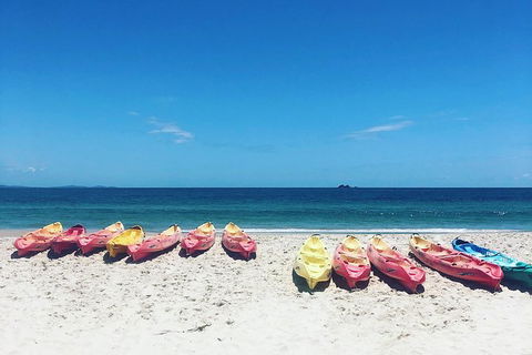 Kayaking With Dolphins In Byron Bay Guided Tour - Holiday Sunshine Coast 20