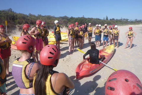 Kayaking With Dolphins In Byron Bay Guided Tour - Holiday Sunshine Coast 4
