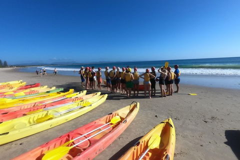 Kayaking With Dolphins In Byron Bay Guided Tour - Holiday Sunshine Coast 17