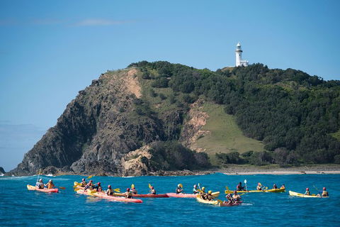 Kayaking With Dolphins In Byron Bay Guided Tour - Holiday Sunshine Coast 2