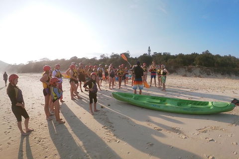 Kayaking With Dolphins In Byron Bay Guided Tour - Holiday Sunshine Coast 11